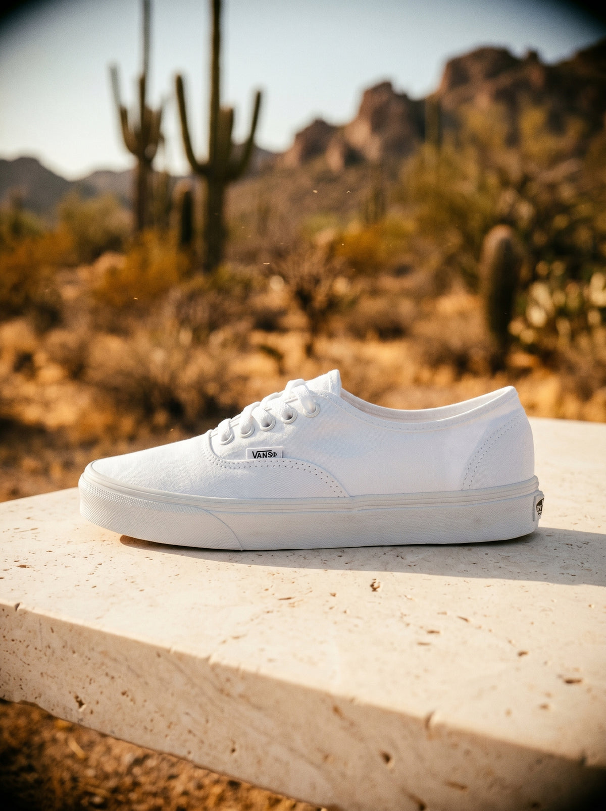 Tenis Vans Authentic TrueWhite VN000EE3W00 Originales
