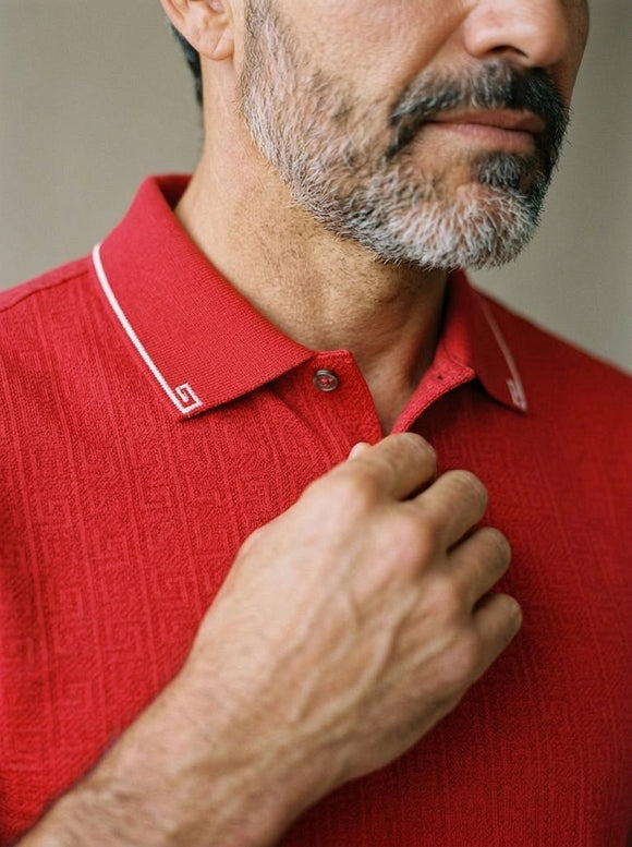 PLAYERA TIPO POLO PAVINI PT-2215