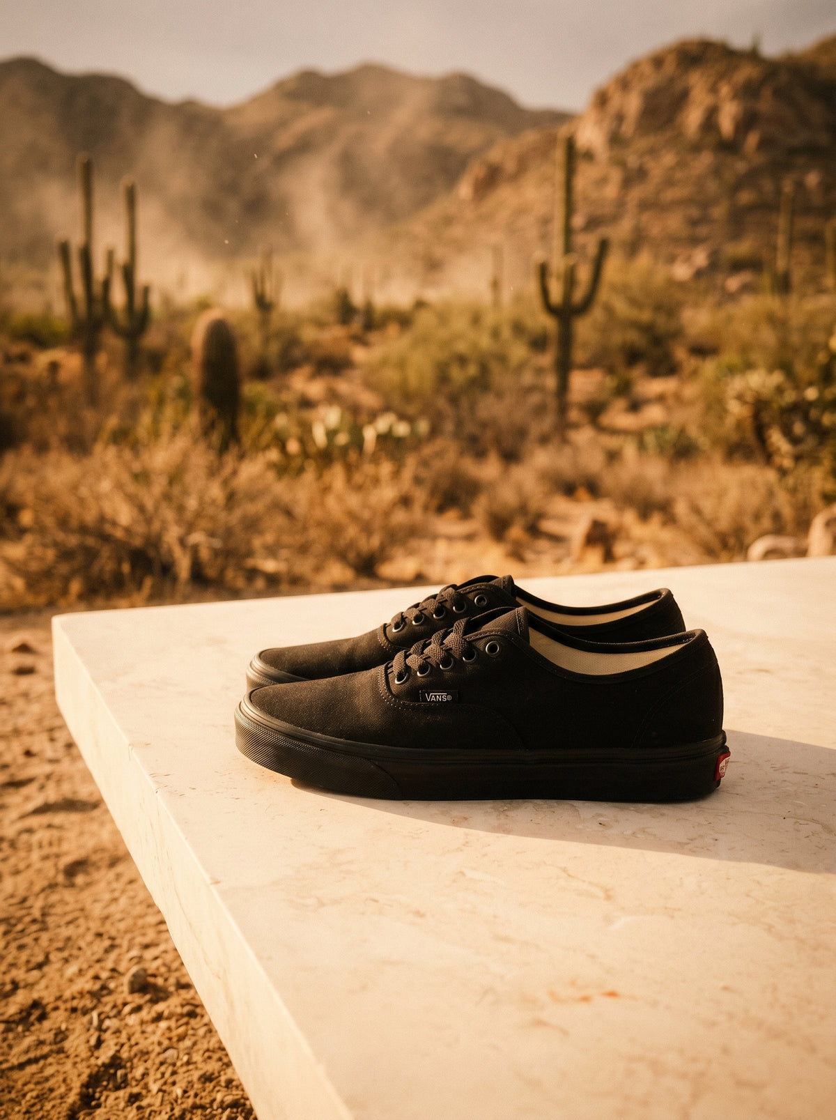 Tenis Vans Authentic VN000EE3BKA Negro Skate