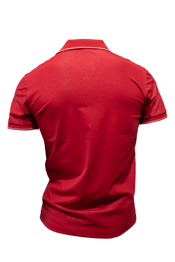 PLAYERA TIPO POLO PAVINI PT-2215