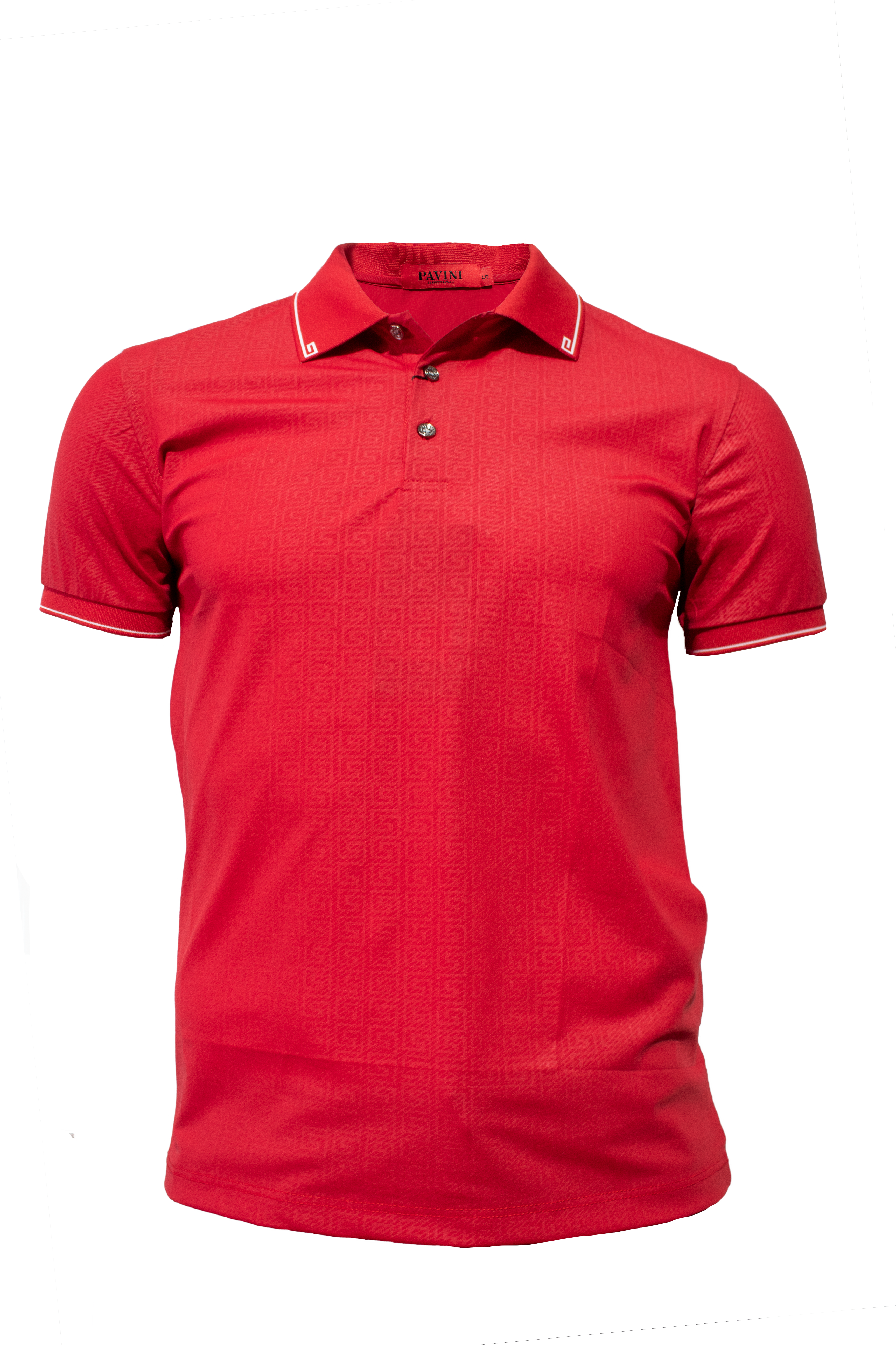 PLAYERA TIPO POLO PAVINI PT-2215