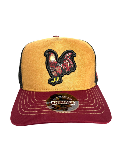 1IRONTRENDY GALLO GIRO PALENQUE