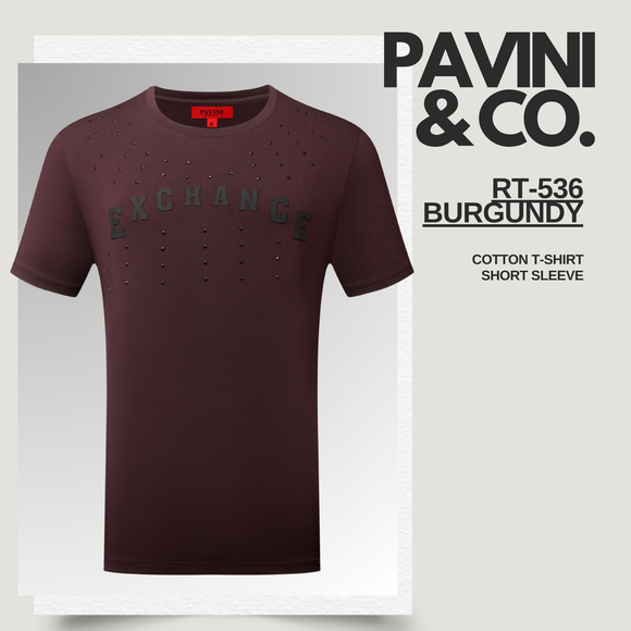 PLAYERA PAVINI RT-536