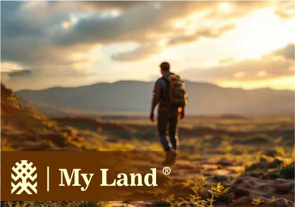 My land carrusel cel