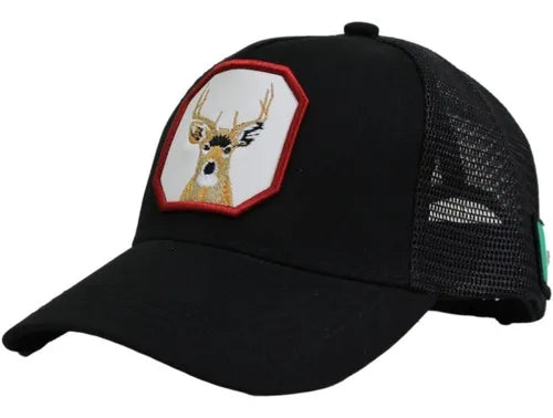Gorra Snapback Marca Pavini Ph-312 — Pavini